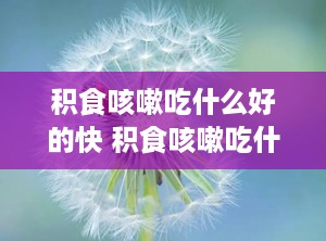 积食咳嗽吃什么好的快 积食咳嗽吃什么好的快一点