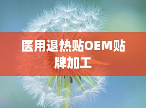 医用退热贴OEM贴牌加工
