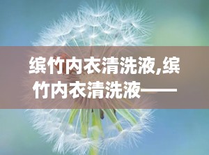 缤竹内衣清洗液,缤竹内衣清洗液——专业呵护，洁净如新
