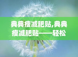 典典瘦减肥贴,典典瘦减肥贴——轻松减肥，美丽生活从此开始
