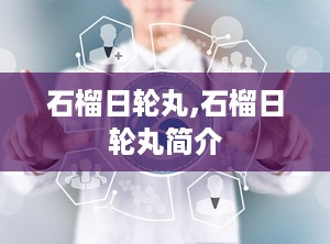 石榴日轮丸,石榴日轮丸简介