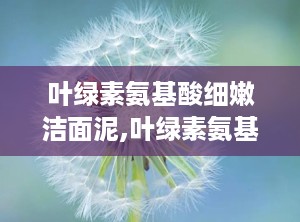 叶绿素氨基酸细嫩洁面泥,叶绿素氨基酸细嫩洁面泥——肌肤清洁与滋养的完美结合