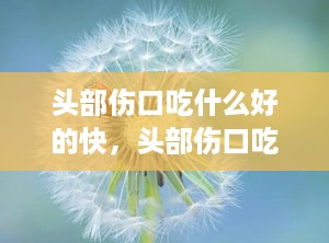 头部伤口吃什么好的快，头部伤口吃什么愈合快