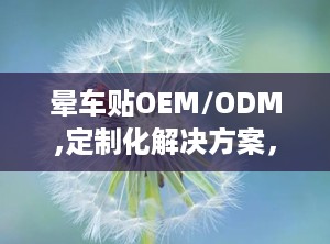 晕车贴OEM/ODM,定制化解决方案，满足个性化需求