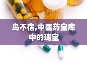 鸟不宿,中医药宝库中的瑰宝