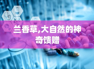 兰香草,大自然的神奇馈赠