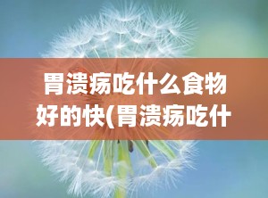胃溃疡吃什么食物好的快(胃溃疡吃什么食物好,也吃了一些养胃的,感)
