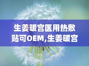 生姜暖宫医用热敷贴可OEM,生姜暖宫医用热敷贴——专业OEM定制，呵护女性健康