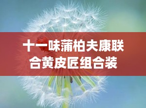 十一味蒲柏夫康联合黄皮匠组合装