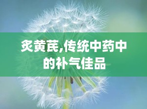 炙黄芪,传统中药中的补气佳品