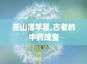 巫山淫羊藿,古老的中药瑰宝