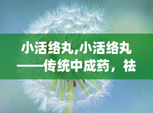 小活络丸,小活络丸——传统中成药，祛风散寒，活血止痛的良方