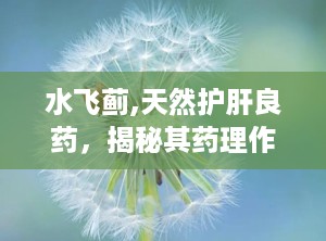 水飞蓟,天然护肝良药，揭秘其药理作用与临床应用