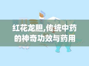 红花龙胆,传统中药的神奇功效与药用价值