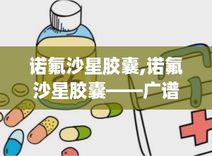 诺氟沙星胶囊,诺氟沙星胶囊——广谱抗菌药物，守护您的健康