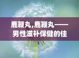 鹿鞭丸,鹿鞭丸——男性滋补保健的佳品