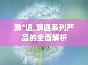 濞*通,濞通系列产品的全面解析