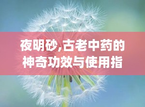 夜明砂,古老中药的神奇功效与使用指南