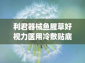 利君器械鱼腥草好视力医用冷敷贴底价招商