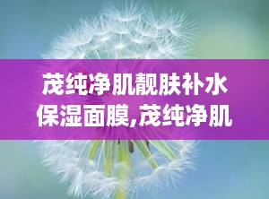 茂纯净肌靓肤补水保湿面膜,茂纯净肌靓肤补水保湿面膜——肌肤水润的秘密武器