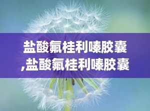 盐酸氟桂利嗪胶囊,盐酸氟桂利嗪胶囊——全面了解这款抗眩晕药物