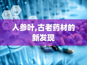 人参叶,古老药材的新发现