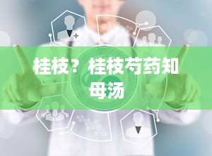桂枝？桂枝芍药知母汤