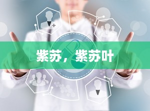 紫苏，紫苏叶