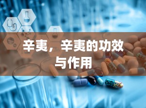 辛夷，辛夷的功效与作用