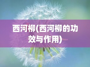 西河柳(西河柳的功效与作用)