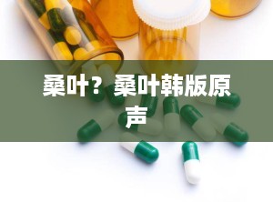 桑叶？桑叶韩版原声