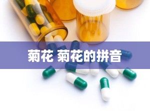菊花 菊花的拼音