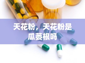 天花粉，天花粉是瓜蒌根吗