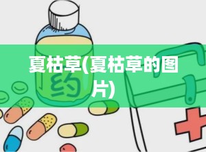 夏枯草(夏枯草的图片)