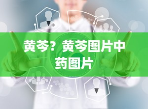 黄芩？黄芩图片中药图片