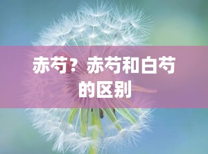 赤芍？赤芍和白芍的区别