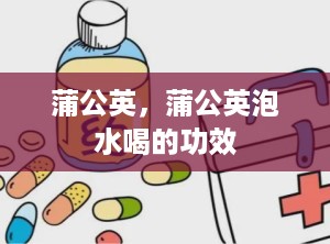 蒲公英，蒲公英泡水喝的功效