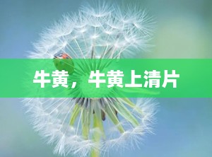 牛黄，牛黄上清片