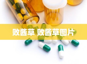 败酱草 败酱草图片