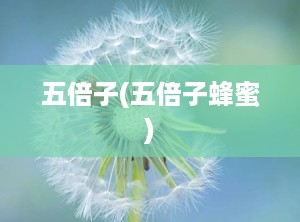 五倍子(五倍子蜂蜜)