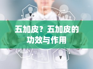 五加皮？五加皮的功效与作用