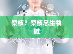 桑枝？桑枝总生物碱