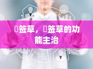 豨签草，豨签草的功能主治