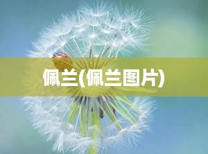 佩兰(佩兰图片)