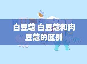 白豆蔻 白豆蔻和肉豆蔻的区别