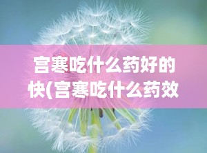 宫寒吃什么药好的快(宫寒吃什么药效果最好最快)