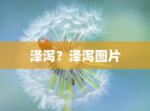 泽泻？泽泻图片