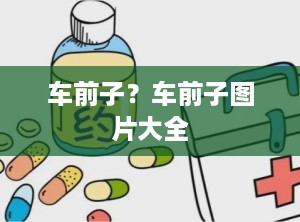 车前子？车前子图片大全