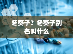 冬葵子？冬葵子别名叫什么