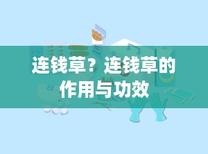 连钱草？连钱草的作用与功效